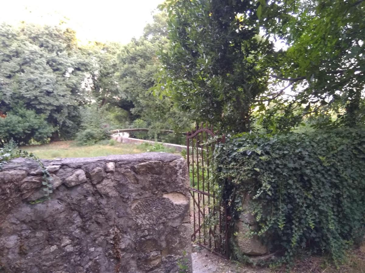 Jankovich Castle Apartment Benkovac Exterior foto